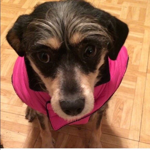 Meet your Posher, RoseAmethyst - Picture 3 of 5